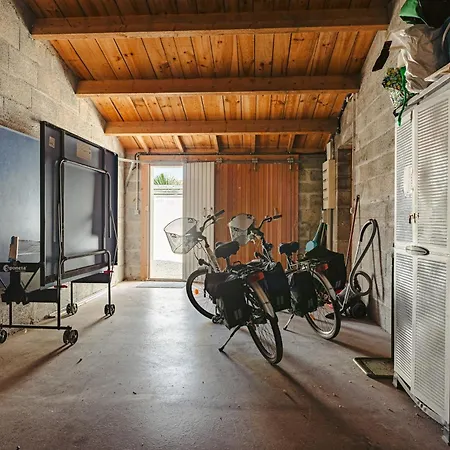 L'avocette * Le Bois-Plage-en-Ré